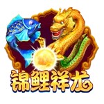 Www.yxvip16.com